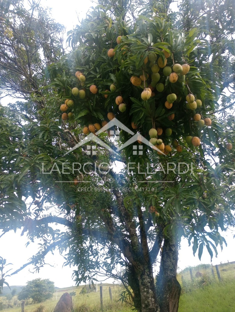 residential-/-farm-ranch-2-quartos-13600m2-bom-retiro-sao-jose-dos-campos-sp